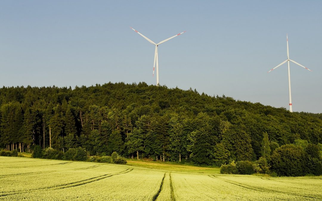 Heimat schützen – Keine Windindustrieanlagen in unseren Wäldern